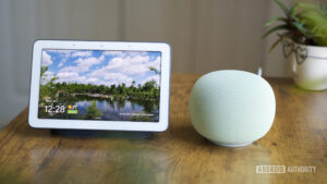 gemini_home_nest