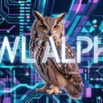 Owl Alpha / LongCat-2.0