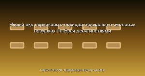 Новый вид ледникового периода скрывался в смоловых ловушках Ла-Брея десятилетиями