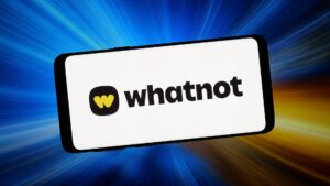 whatnot
